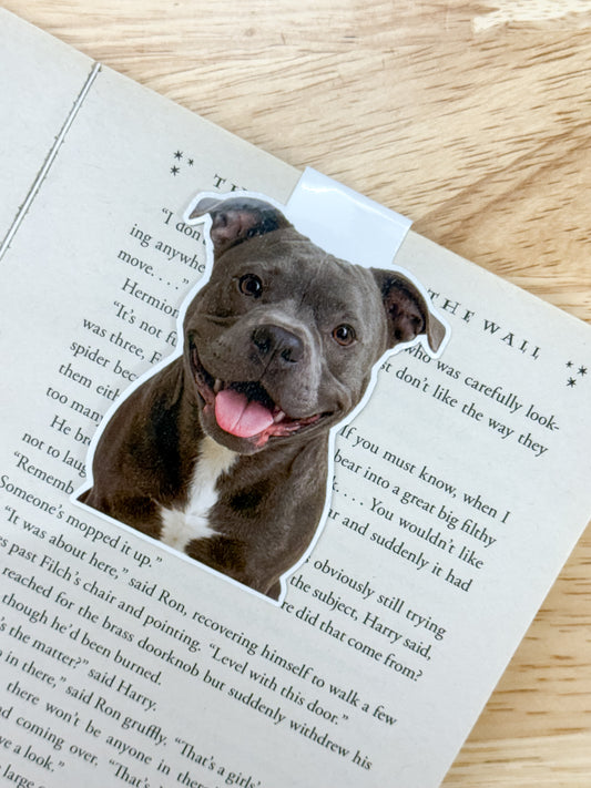 Gray Blue Pit Bull Magnetic Bookmark