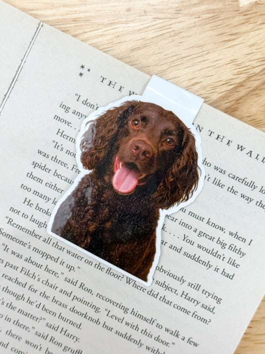 Boykin Spaniel Magnetic Bookmark