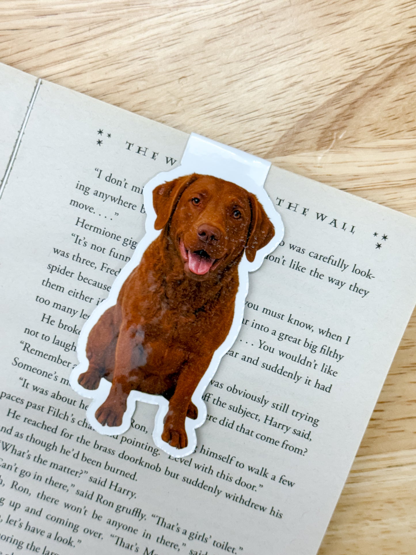 Red Chesapeake Dog Magnetic Bookmark