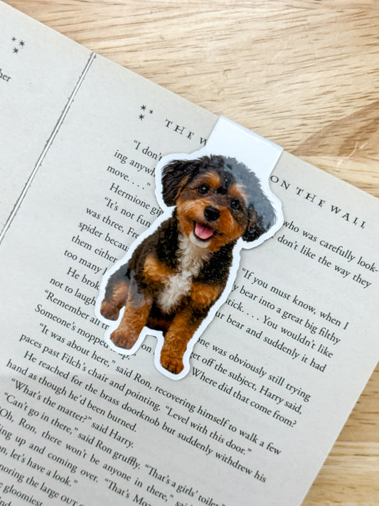 Black Brown Maltipoo Magnetic Bookmark
