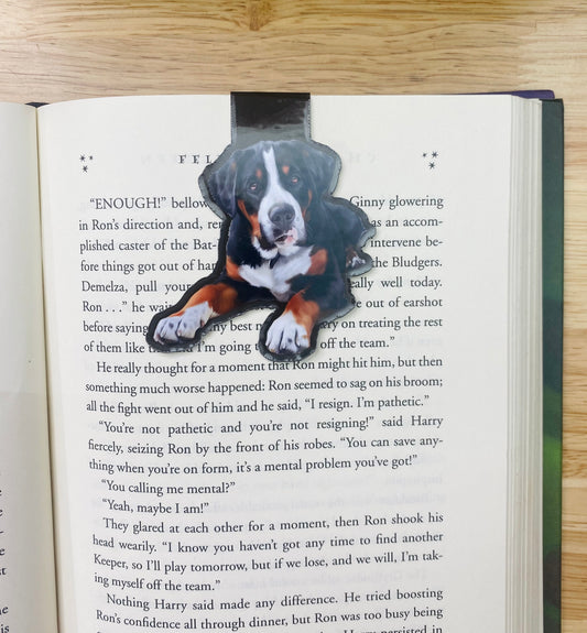 Swiss Mountain Dog Magnetic Bookmark