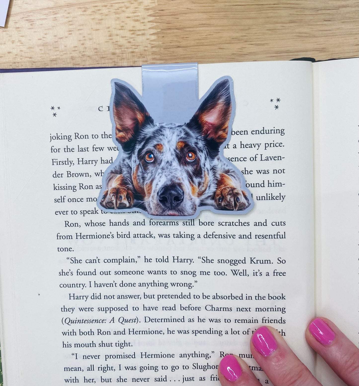 Australian Cattle Dog Magnetic Bookmark
