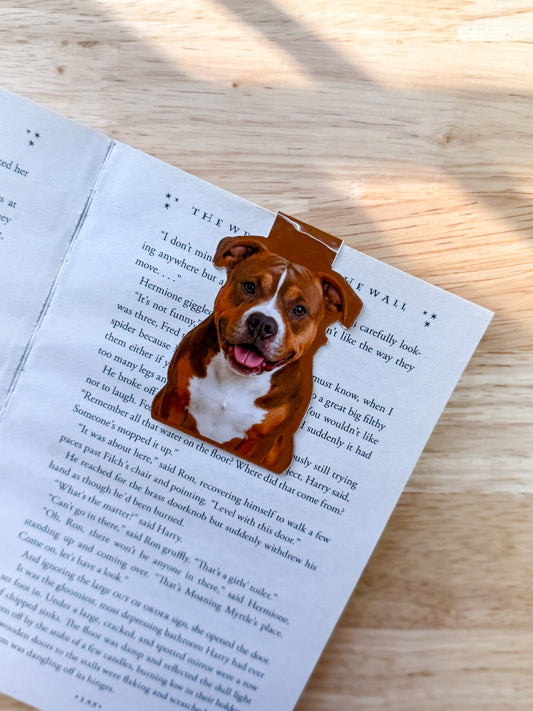 Tricolor Pit Bull Brown White Magnetic Bookmark