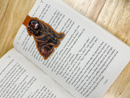 Brown Newfoundland Magnetic Bookmark