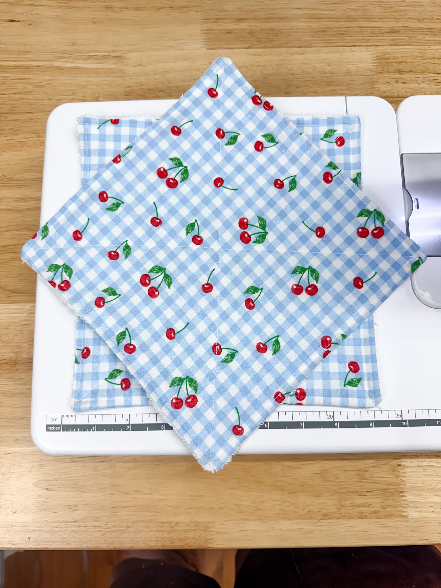2-Pack Terry Cotton Dish Cloth Blue Plaid Cherries