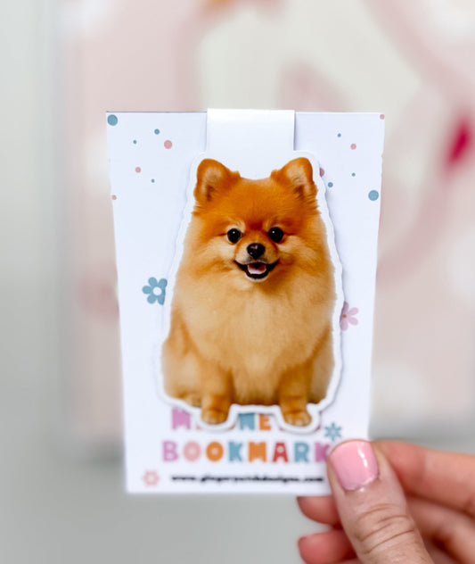 Pomeranian Magnetic Bookmark
