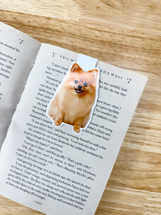 Pomeranian Magnetic Bookmark
