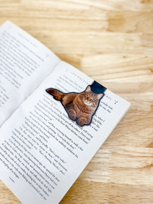 Tabby Cat Magnetic Bookmark