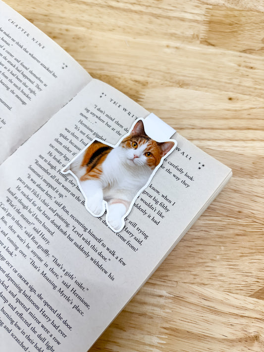 Short Hair Cat Magnetic Bookmark