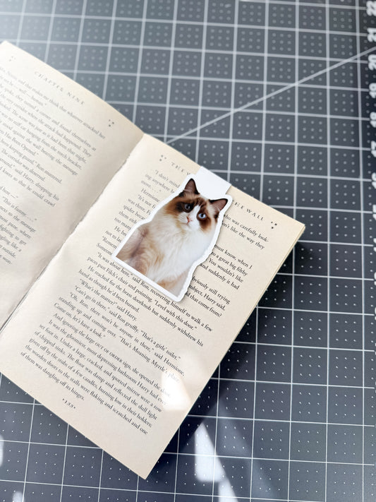 Ragdoll Cat Magnetic Bookmark