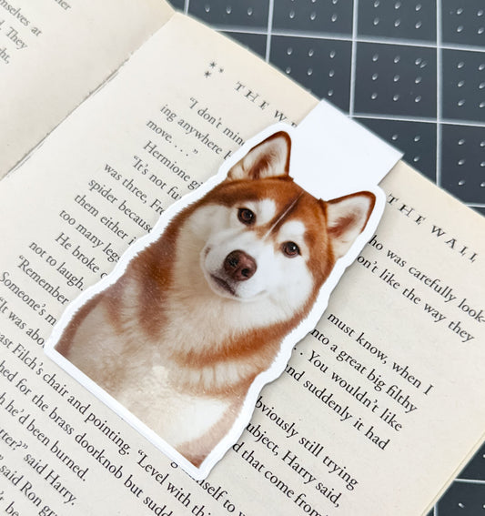 Red Husky Magnetic Bookmark