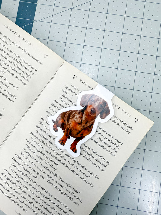 Dapple Dachshund Magnetic Bookmark