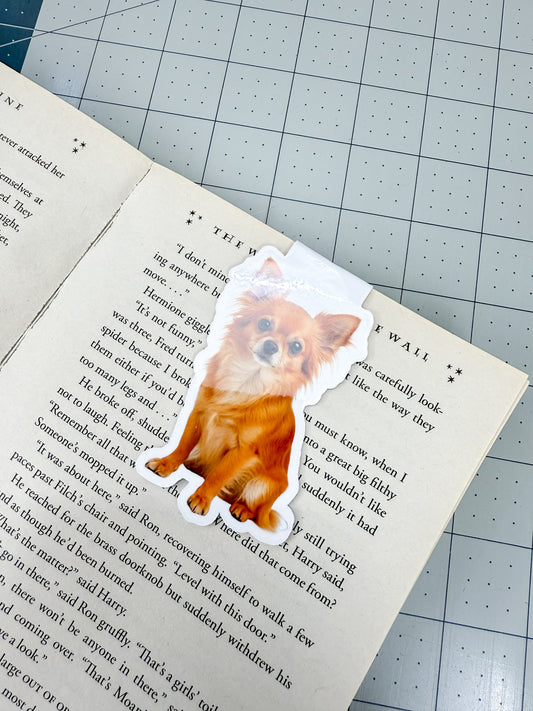 Long-Haired Chihuahua Magnetic Bookmark