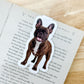 Brindle French Bulldog Magnetic Bookmark