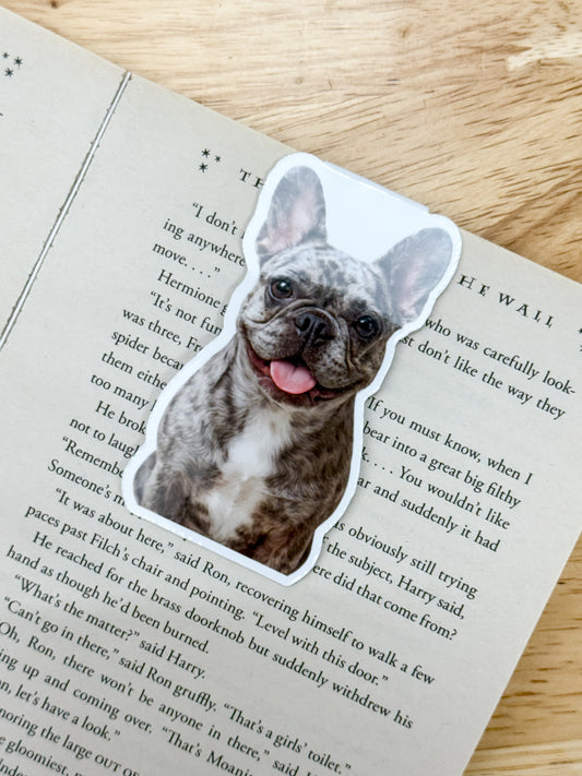 Merle French Bulldog Magnetic Bookmark