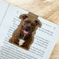 Brindle Pit Bull Magnetic Bookmark
