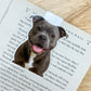 Gray Blue Pit Bull Magnetic Bookmark