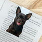 Black Short Haired Chihuahua Magnetic Bookmark