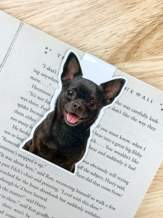 Black Short Haired Chihuahua Magnetic Bookmark