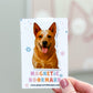 Red Australian Cattle Dog Magnetic Bookmark