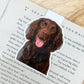 Boykin Spaniel Magnetic Bookmark