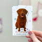 Red Chesapeake Dog Magnetic Bookmark