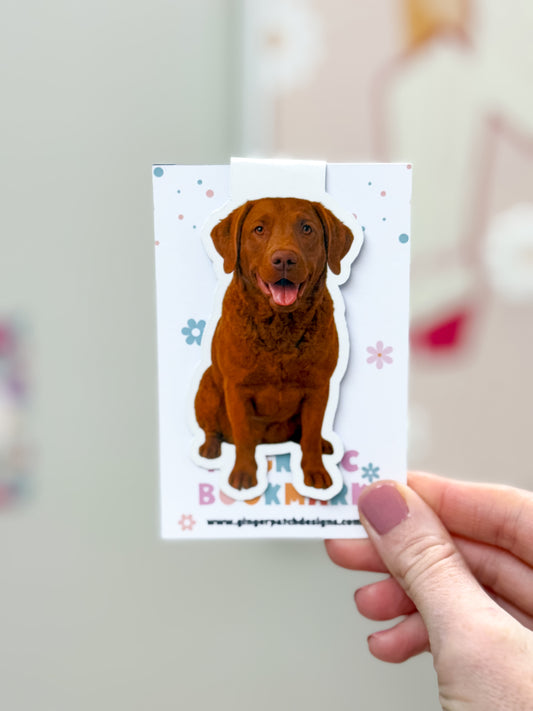 Red Chesapeake Dog Magnetic Bookmark