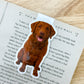 Red Chesapeake Dog Magnetic Bookmark