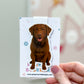 Brown Chesapeake Dog Magnetic Bookmark