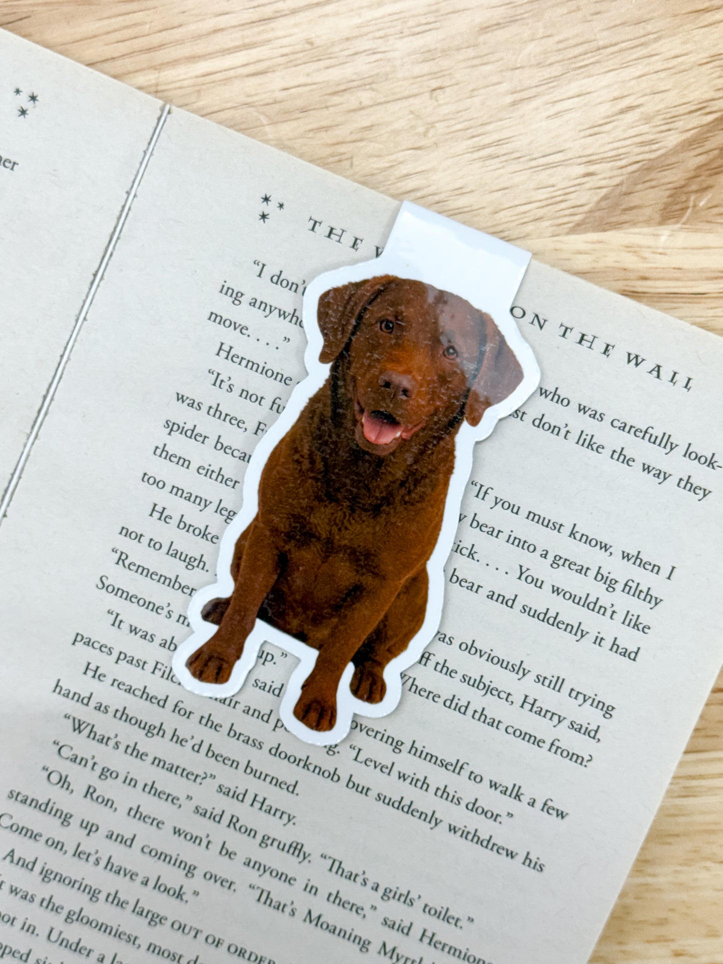 Brown Chesapeake Dog Magnetic Bookmark
