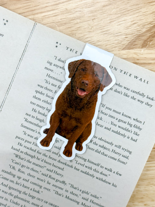 Brown Chesapeake Dog Magnetic Bookmark