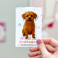 Cream Maltipoo Magnetic Bookmark