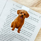 Cream Maltipoo Magnetic Bookmark
