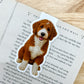 Red Bernedoodle Magnetic Bookmark