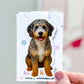 Merle Bernedoodle Magnetic Bookmark