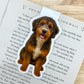 Sable Bernedoodle Magnetic Bookmark