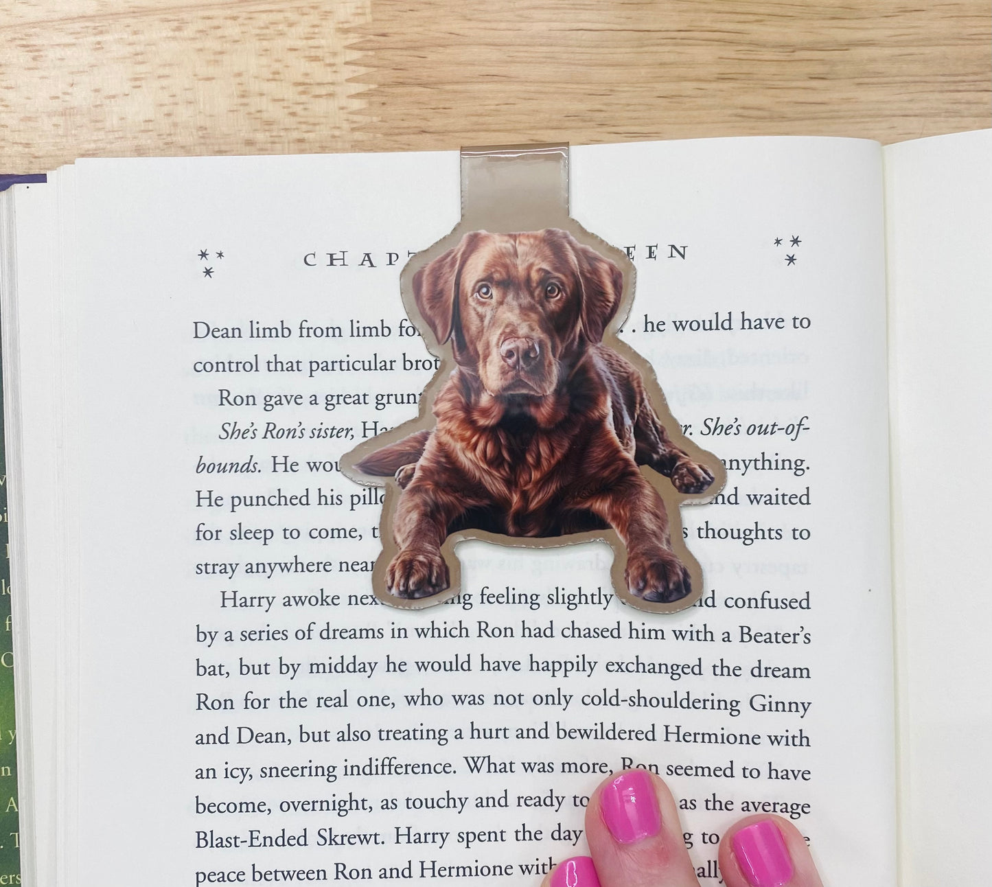 Chocolate Labrador Retriever Magnetic Bookmark, Chocolate Lab Bookmarks