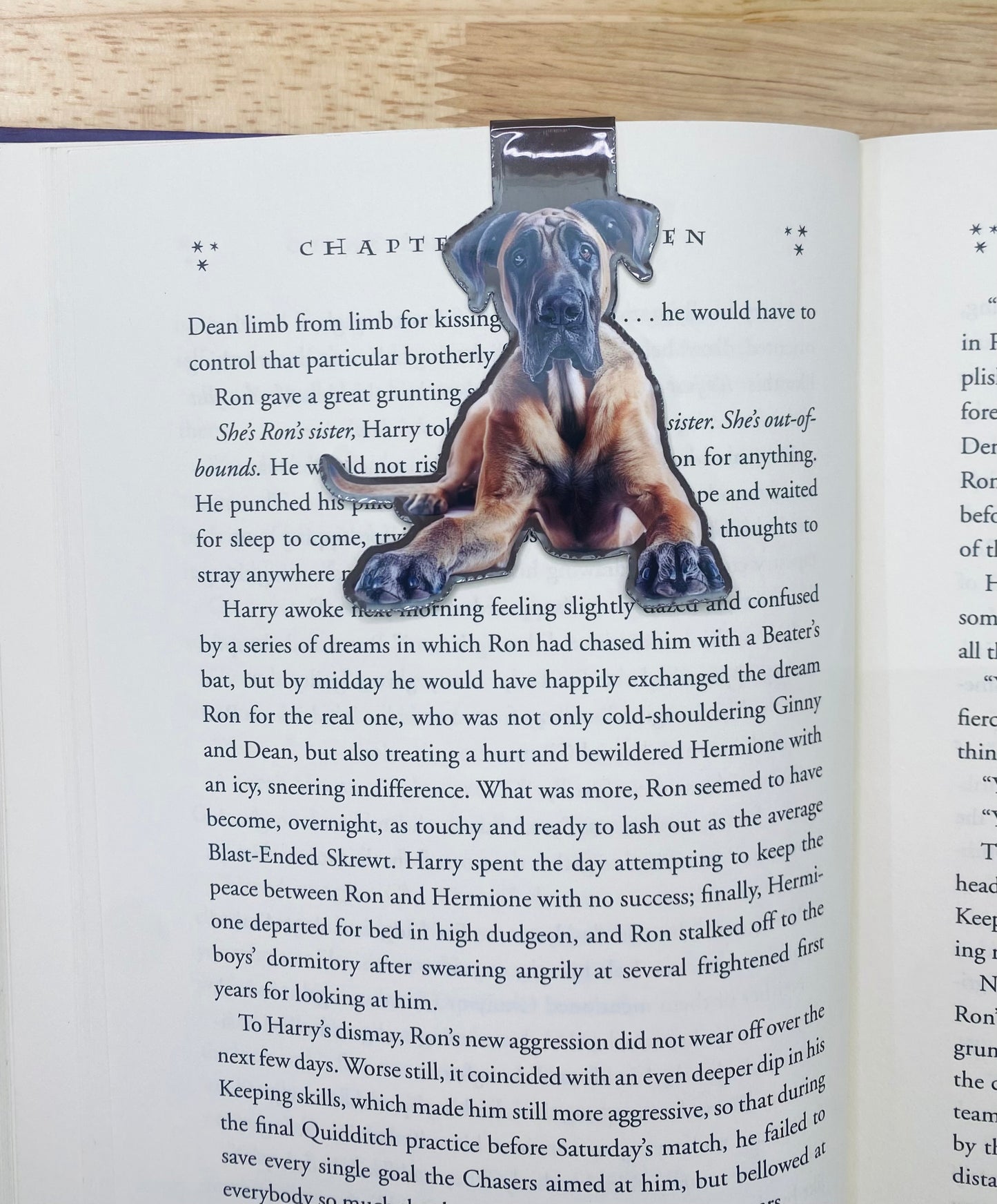 Brown Great Dane Magnetic Bookmark, European Great Dane