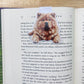 Chow Magnetic Bookmark