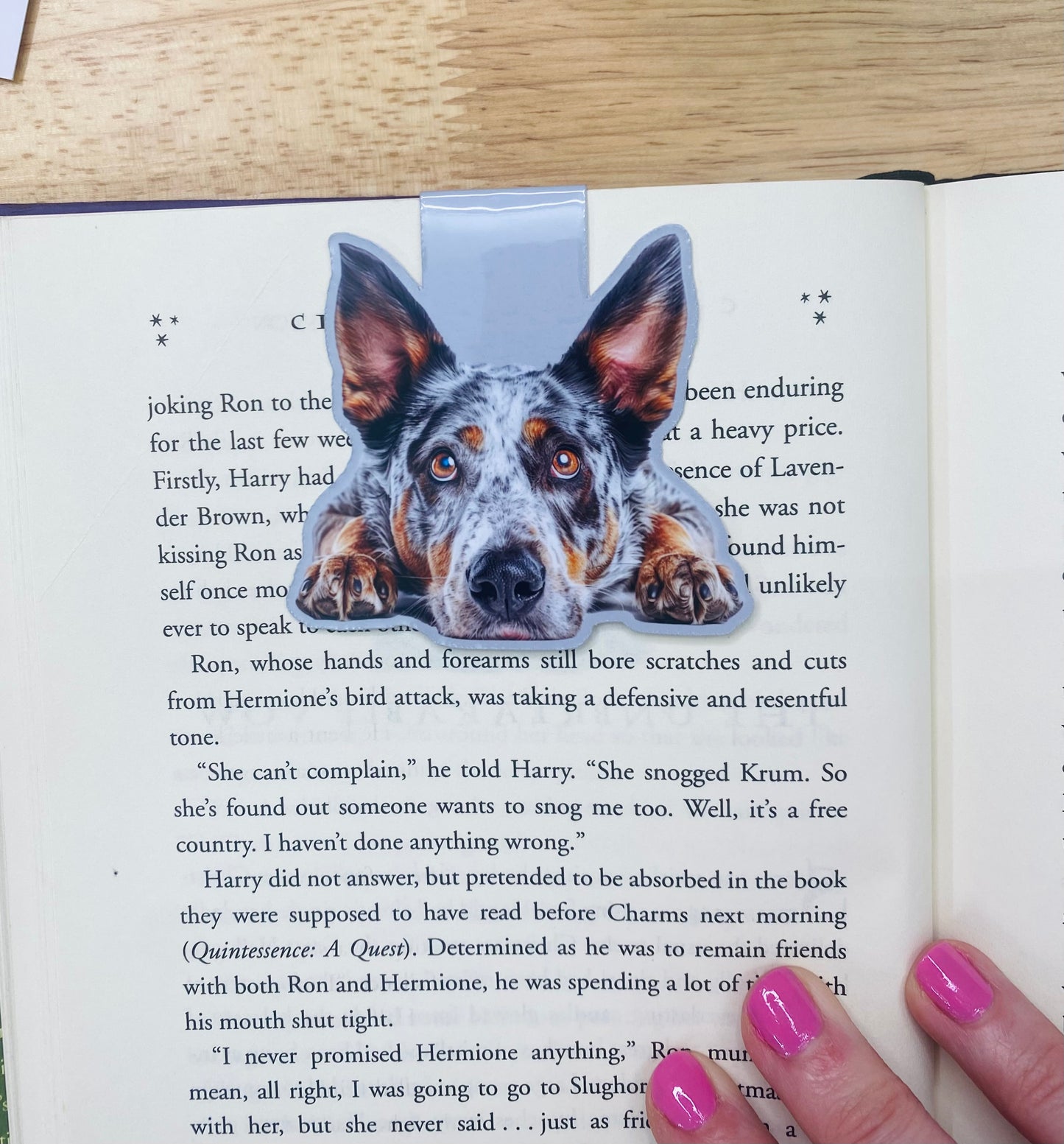 Australian Cattle Dog Magnetic Bookmark, Blue Heeler Bookmarks