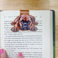 Boxer Magnetic Bookmark