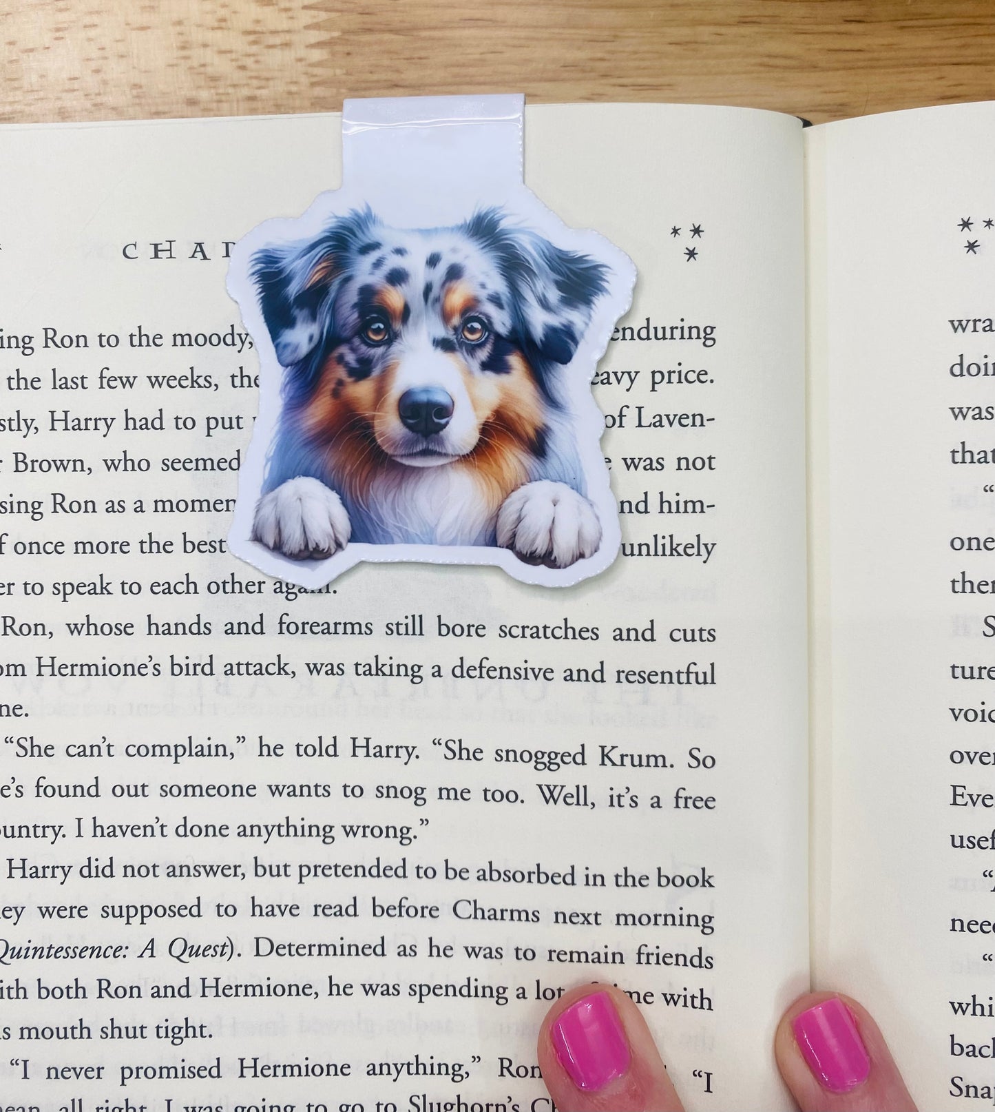 Australian Shepherd Magnetic Bookmark, Peeking Dog Bookmarks