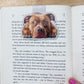 Pit Bull Magnetic Bookmark