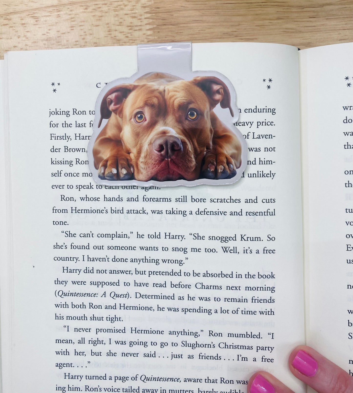 Pit Bull Magnetic Bookmark