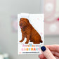 Brown Shar Pei Puppy Magnetic Bookmark