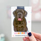Gray Neapolitan Mastiff Magnetic Bookmark