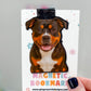 Tricolor Pit Bull Magnetic Bookmark