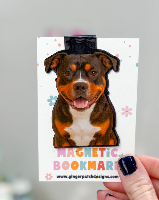 Tricolor Pit Bull Magnetic Bookmark
