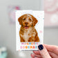 Aussiedoodle Magnetic Bookmark