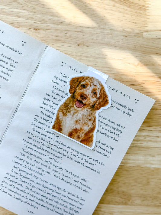 Aussiedoodle Magnetic Bookmark